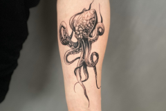 ally-alien-mikrorealizm-dotwork-fineline-osmiornica-tatuaz-na-przedramieniu-wroclaw