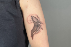 ally-alien-mikrorealizm-dotwork-fineline-wieloryb-tatuaz-na-rece-wroclaw