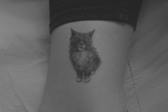 ally-alien-mikrorealizm-dotwork-kot-tatuaz-na-nodze-wroclaw