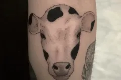 marsatattoo-fineline-mikrorealizm-krowa-zwierze-tatuaz-na-rece-wroclaw