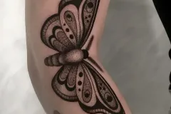 marsatattoo-fineline-mikrorealizm-motyl-owad-tatuaz-na-rece-wroclaw