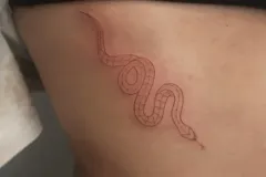 marsatattoo-fineline-waz-czerwony-tatuaz-na-zebrach-wroclaw