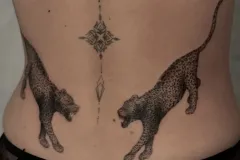 tatuaz-kobiecy-delikanty-na-plecach-gepard-fine-line-dot-work-studio-tatuazu-black-moth-wroclaw-marsatattoo