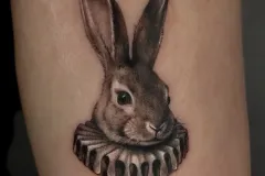 tatuaz-kobiecy-delikanty-na-rece-krolik-zajac-zwierze-mikrorealizm-studio-tatuazu-black-moth-wroclaw-marsatattoo