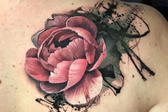 nikaveratattoo-kwiat-flora-realistyczny-realizm-kolorowy-tatuaz-na-plecach-lopatce-wroclaw