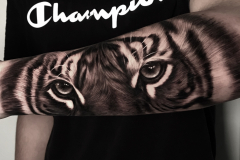 nikaveratattoo-tygrys-zwierze-oczy-realistyczny-realizm-tatuaz-na-rece-przedramieniu-wroclaw