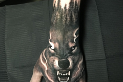 nikaveratattoo-wilk-zwierze-realistyczny-realizm-tatuaz-na-dloni-wroclaw