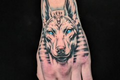 sokol-tatuaz-dlon-anubis-realistyczny-wrocaw