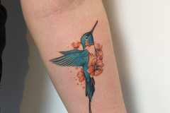 sokol-tatuaz-kolorowy-koliber-na-przedramieniu-wroclaw