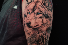 sokol-tatuaz-realistyczny-wilk-ramie-wroclaw