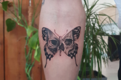 zutattoo-tatuaz-motyl-czaszka-mikrorealizm-fineline-na-przedramieniu-wroclaw