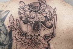 avkvrd-ink-dotwork-blackwork-czaszka-waz-kwiaty-tatuaz-na-plecach-wroclaw