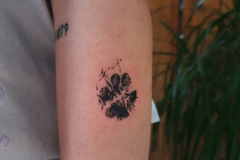 zutattoo-tatuaz-lapa-odcisk-pies-blackwork-dotwork-na-ramieniu-wroclaw